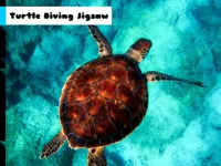 https://timunmini.id/game/turtle-diving-jigsaw