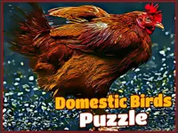 https://timunmini.id/game/domestic-birds-puzzle