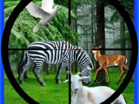 https://timunmini.id/game/real-jungle-animals-hunting