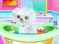 https://timunmini.id/game/my-new-poodle-friend