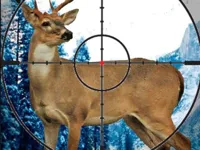 https://timunmini.id/game/stag-hunter