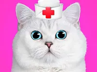 https://timunmini.id/game/cat-pet-doctor-dentist