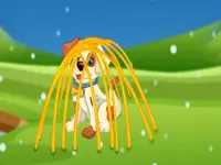 https://timunmini.id/game/rescue-the-doggy