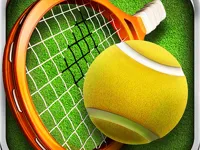 https://timunmini.id/game/3d-tennis