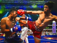 https://timunmini.id/game/muaythai-fighters-jigsaw