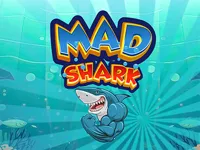 https://timunmini.id/game/mad-shark-fish