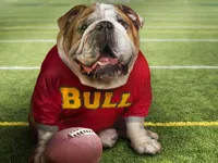 https://timunmini.id/game/funny-doggy-puzzle
