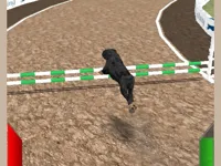 https://timunmini.id/game/crazy-real-dog-race