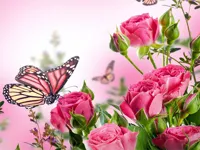 https://timunmini.id/game/butterflies-puzzle