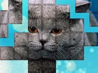 https://timunmini.id/game/picpu-cat-puzzle
