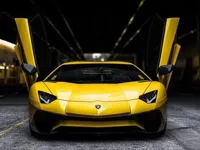https://timunmini.id/game/lamborghiniparking3