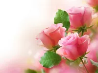 https://timunmini.id/game/pink-roses-puzzle