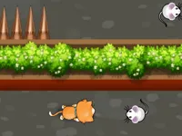 https://timunmini.id/game/cat-trap-labyrinth-escape