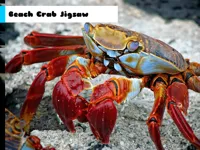 https://timunmini.id/game/beach-crab-jigsaw