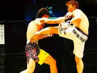 https://timunmini.id/game/ufc-fighting-match-jigsaw
