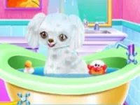 https://timunmini.id/game/my-new-poodle-friend-pet-care-game