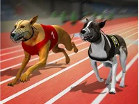 https://timunmini.id/game/racing-dog-simulator-crazy-dog-racing-games