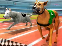 https://timunmini.id/game/dogs3d-races