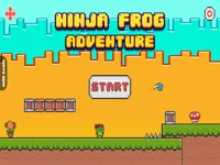 https://timunmini.id/game/ninja-frog-adventure