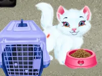https://timunmini.id/game/baby-taylor-pet-care