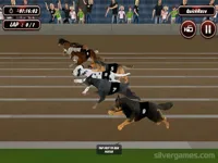 https://timunmini.id/game/crazy-dog-racing-simulator-games-3d