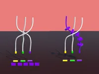 https://timunmini.id/game/twisted-rods