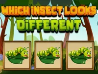 https://timunmini.id/game/which-insect-looks-different