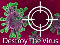 https://timunmini.id/game/destroy-the-corona-virus