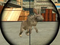 https://timunmini.id/game/rabbit-shooter