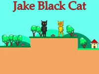 https://timunmini.id/game/jake-black-cat