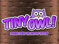https://timunmini.id/game/tiny-owl