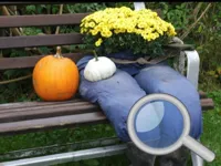 https://timunmini.id/game/autumn-garden-find-100-butterflies