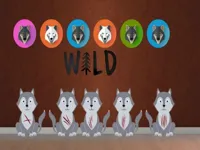 https://timunmini.id/game/wolf-pup-escape2