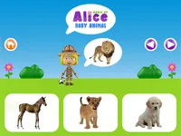 https://timunmini.id/game/world-of-alice-baby-animal