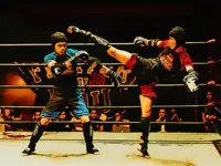 https://timunmini.id/game/fighters-in-the-ring
