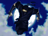 https://timunmini.id/game/ninja-defender