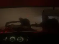 https://timunmini.id/game/spooky-jungle-safari