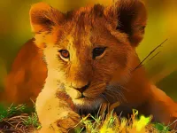 https://timunmini.id/game/wild-baby-animals-jigsaw