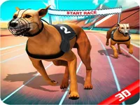 https://timunmini.id/game/crazy-dog-race