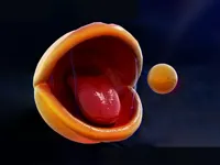 https://timunmini.id/game/pac-man-rtx-on