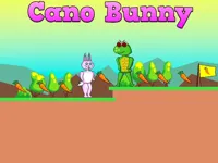 https://timunmini.id/game/cano-bunny