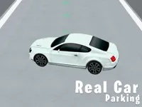https://timunmini.id/game/real-car-parking-3d